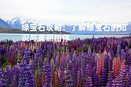 绿宝石攻略:了解绿宝石的知识与美丽相伴