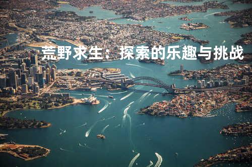 荒野求生:探索的乐趣与挑战
