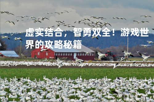 虚实结合,智勇双全!游戏世界的攻略秘籍