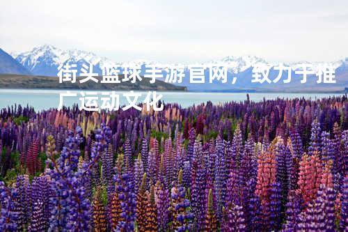 街头篮球手游官网,致力于推广运动文化