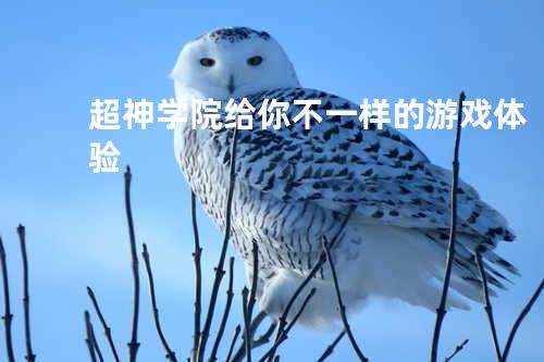 超神学院-给你不一样的游戏体验