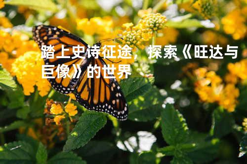 踏上史诗征途，探索《旺达与巨像》的世界