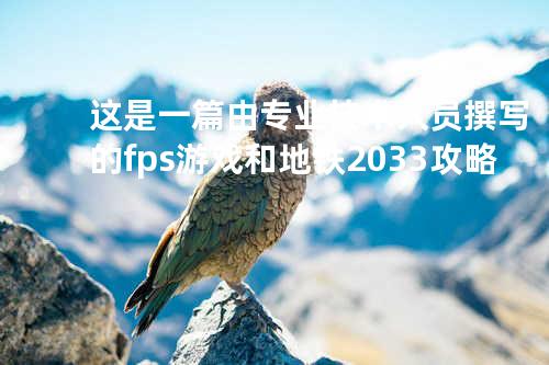 这是一篇由专业技术人员撰写的fps游戏和地铁2033攻略