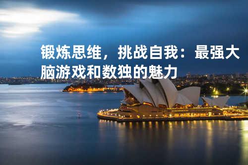 锻炼思维，挑战自我：最强大脑游戏和数独的魅力