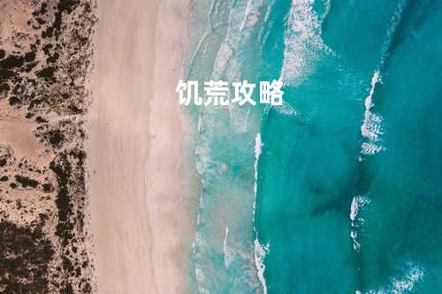 饥荒攻略