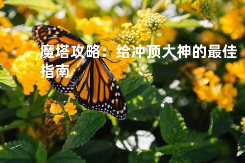 魔塔攻略:给冲顶大神的最佳指南