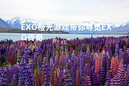 EXO橙光游戏 带你寻觅EXO传奇
