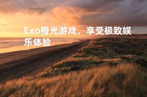 Exo橙光游戏,享受极致娱乐体验